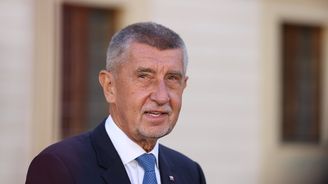 Senior, který napadl Babiše na volebním mítinku, dostal podmíněný trest Senior, který napadl Babiše na volebním mítinku, dostal podmíněný trest