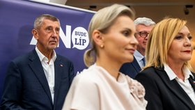 Volby ONLINE: Babiš opět u Pavla, do zítra chce mít vládu. Poslance ANO povede exministryně Malá