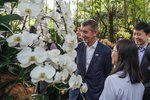 Babiš prozradil, čím potěší svou ženu Moniku. A navázal v Singapuru na Havla s Klausem, pojmenovali po něm orchidej