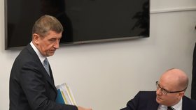 Sobotkovo čtvrtstoletí v české politice (Andrej Babiš a Bohuslav Sobotka na jednání bezpečnostního výboru)