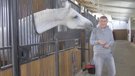 Premiér a šéf hnutí ANO Andrej Babiš na Čapím hnízdě