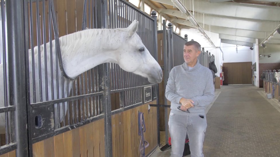 Premiér a šéf hnutí ANO Andrej Babiš na Čapím hnízdě