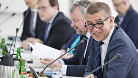 Premiér Babiš po boku s ministrem Danem Ťokem při výjezdu do mladoboleslavské Škodovky.