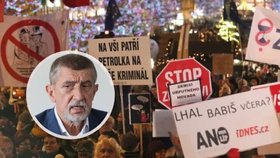 Expremiér Andrej Babiš (ANO) se musí omluvit za výroky o zaplacených demonstrantech, nařídil soud.