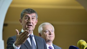 Předseda hnutí ANO Andrej Babiš