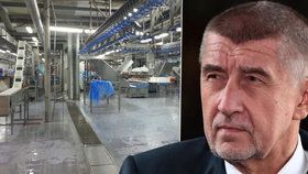 Předseda hnutí ANO Andrej Babiš odmítá, že by jeho zaměstnanci ve Vodňanech byli nuceni pracovat ve špatných podmínkách.