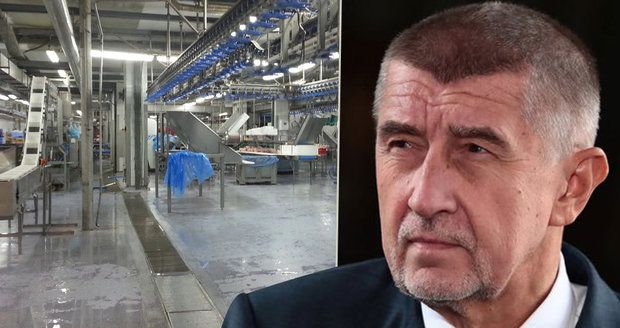 Babiš odmítl „hrůzostrašné“ podmínky v drůbežárně. A za drahé máslo prý může Klaus