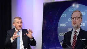 Babiš se čílí kvůli schůzce k obraně: Fialovi poslal další dopis