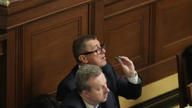 Andrej Babiš ve Sněmovně