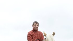 Andrej Babiš v sedle: Na své farmě Čapí hnízdo chová plemeno koní hafling.