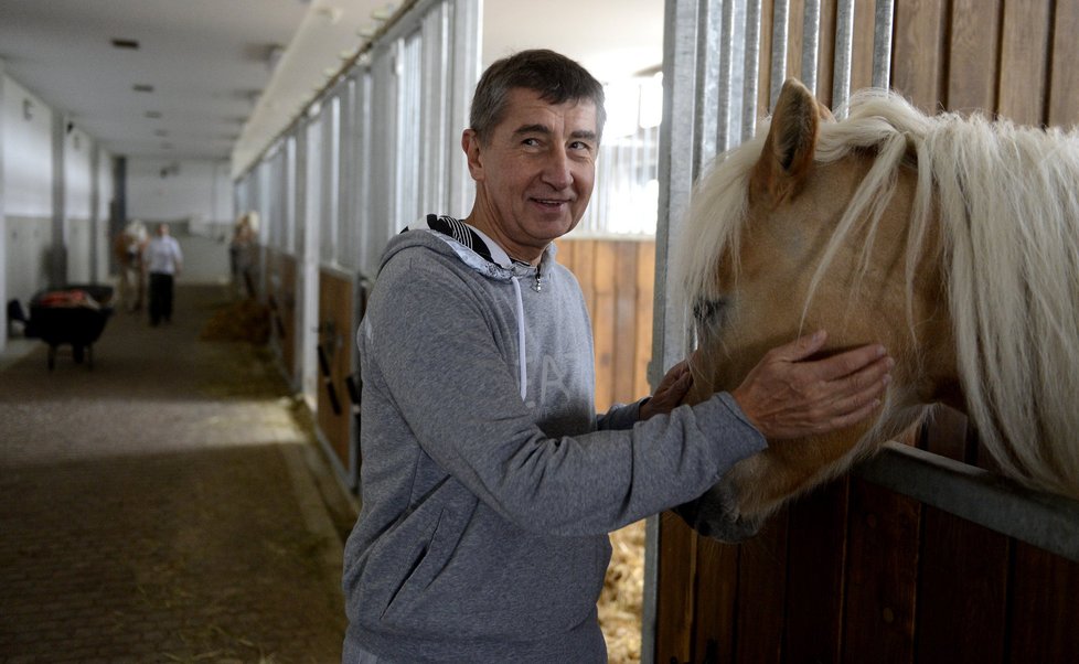 Andrej Babiš ve stájích na farmě Čapí hnízdo