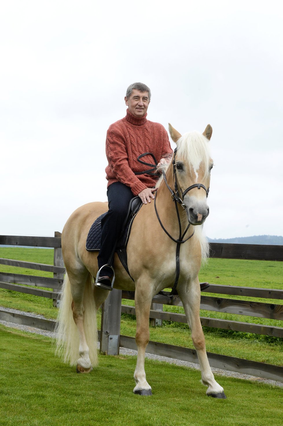 Andrej Babiš v sedle: Na své farmě Čapí hnízdo chová plemeno koní hafling