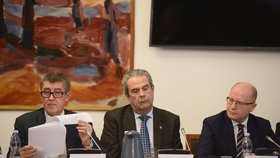 Bezpečnostní výbor kvůli šéfovi GIBS: Zleva Babiš, Murín a Sobotka: (15. 3. 2018)