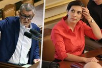 Babiš urážel Pekarovou: „Nenávistná, zlá a hloupá, říkal chudák Kalda!“ Šéfka topky mu to vrátila