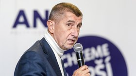 Šéf ANO Andrej Babiš