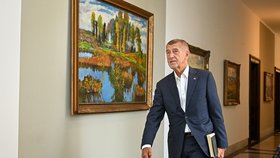 Andrej Babiš (ANO) při příchodu na jednání vlády (7.9.2026)