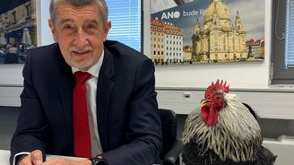 Jan Zrzavý: Konflikty o jmenování ministrů jsou jako Hra na kuřátko. Zatím je kuřátkem Babiš Jan Zrzavý: Konflikty o jmenování ministrů jsou jako Hra na kuřátko. Zatím je kuřátkem Babiš