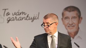 Schůzky se zúčastní premiér Andrej Babiš (ANO).