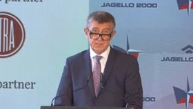 Premér Andrej Babiš (ANO) během bezpečnostní koference na Hradě (22.6.2021)