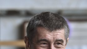 Premiér v demisi Andrej Babiš