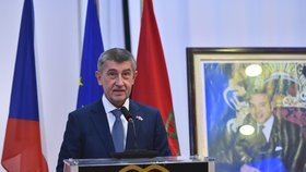 Premiér Andrej Babiš s kauzou StB ve Štrasburku neuspěl.