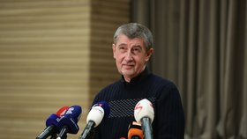 Andrej Babiš komentoval vítězství Miloše Zemana ve 2. kole prezidentských voleb v Sokolovně v Průhonicích.