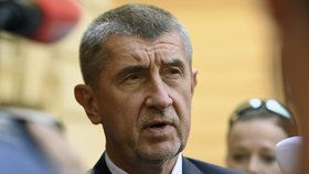 Babiš před vyhazovem předloží návrh rozpočtu. „Je skvělej,“ kasá se šéf ANO