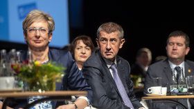 Babiš se chystá za Zemanem řešit změny ve vládě. A hájil kritizovanou ministryni Novákovou