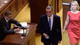 Do obstrukcí ve sněmovně se při jednání o EET zapojili Miroslav Kalousek i Jana Černochová.