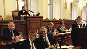 Andrej Babiš a Miroslav Kalousek: Poněkud křečovitý úsměv ve Sněmovně