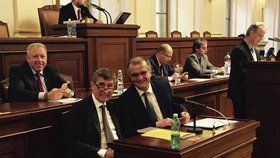 Andrej Babiš a Miroslav Kalousek: Poněkud křečovitý úsměv