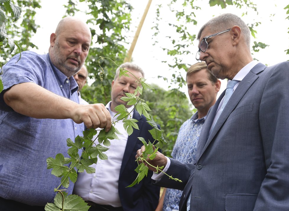 Premiér Babiš s ministry Tomanem (ČSSD) a Brabcem (ANO) vyrazil řešit sucho (17. 7. 2019).