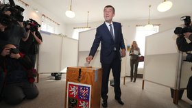 Volby 2017: Andrej Babiš volil v Průhonicích 