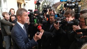 Volby 2017: Andrej Babiš vyrazil volit na úřad v Průhonicích, sledoval jej dav novinářů
