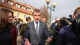 Volby 2017: Andrej Babiš vyrazil volit na úřad v Průhonicích, sledoval jej dav novinářů