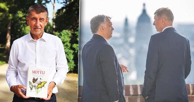 Babiš vyměnil „motýle“ za Orbána, radí mu ústup. „Fňuká jako fracek,“ udeřil Hašek