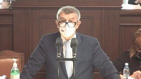 Jednání o nedůvěře vládě: Andrej Babiš (3.6.2021)