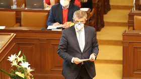 Jednání o nedůvěře vládě: Andrej Babiš (3. 6. 2021)