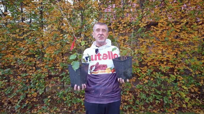 Andrej Babiš na TikToku v mikině Nutelly. Andrej Babiš na TikToku v mikině Nutelly.