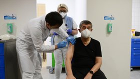 Premiér Andrej Babiš (ANO) dostal druhu dávku vakcíny proti covidu (24.1.2021)