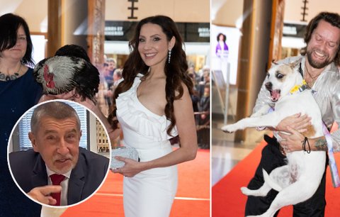 Zvířátková premiéra pokračování Gumpa: Lounová vyvedla Babišova kohouta!