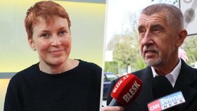 Babiš se musí omluvit novinářce Holsové, rozhodl soud