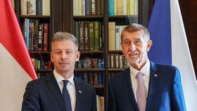 Andrej Babiš (ANO) přivítal v Praze maďarského premiéra Pétera Magyara (29.10.2026)