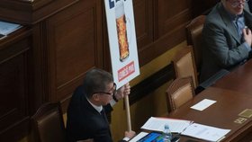 Andrej Babiš ve Sněmovně s cedulí za levnější pivo