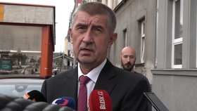 Babiš: Poche ministrem zahraničí nebude. Premiér očekává od ČSSD jméno nového kandidáta