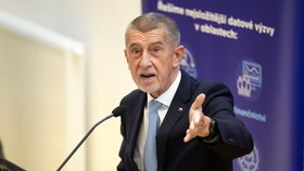 Premiér Andrej Babiš (ANO) (říjen 2026)
