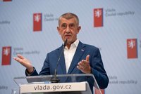 Po Pavlově vetu štvou Babiše lži a „bláboly“. Prezident by sám mohl šetřit, vzkázal