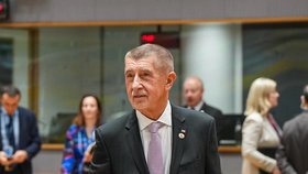 Premiér Andrej Babiš (ANO) v Bruselu (březen 2026)