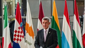 Premiér Andrej Babiš (ANO) v Bruselu (březen 2026)