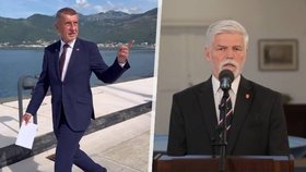 Babiš v Černé Hoře: Vzkázal, kdy vláda rozhodne o delegaci na summit NATO